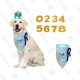 Dog Birthday Boy Bandana and Crown | $13 | Amazon